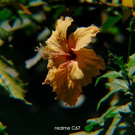 sotwe bagets|Binatilyong Masarap @bagets.